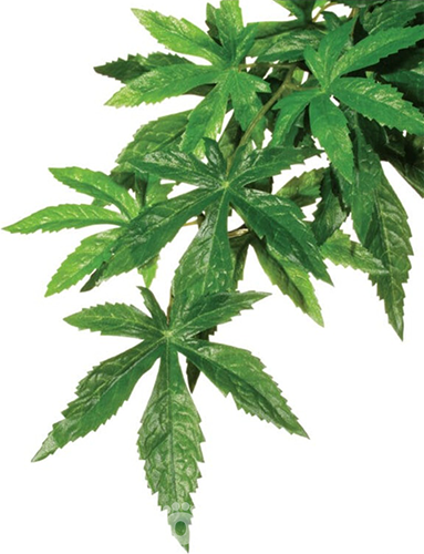 Exo Terra "Abutilon Silk" Рослина для тераріуму