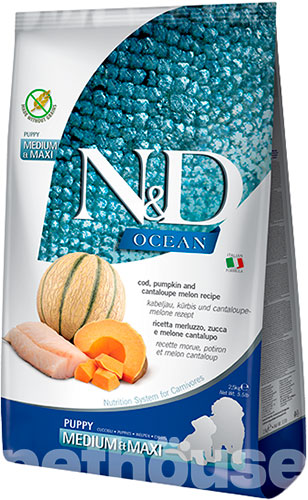 Farmina N&D Ocean Puppy Medium & Maxi Cod, Pumpkin & Cantaloupe Melon