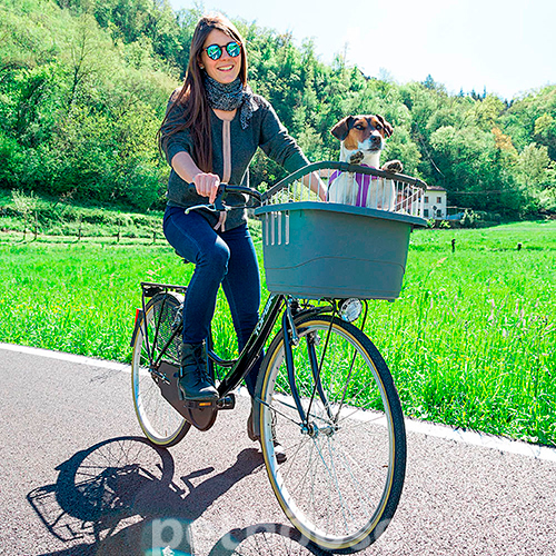 Ferplast Atlas Корзина для перевозки собак на велосипеде, фото 6