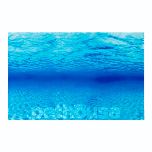 Ferplast Background Двосторонній фон для акваріума з морськими глибинами