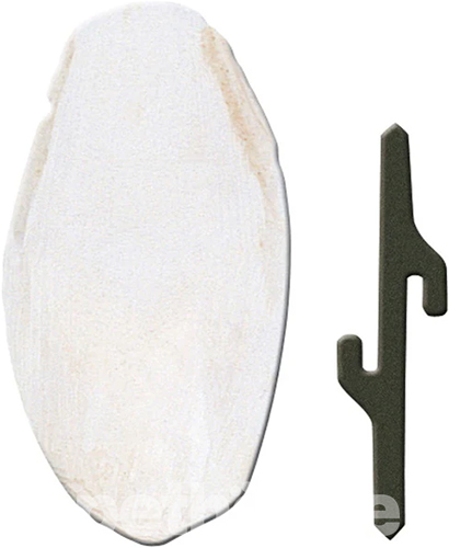 Ferplast Cuttlebone Small Кістка каракатиці для птахів