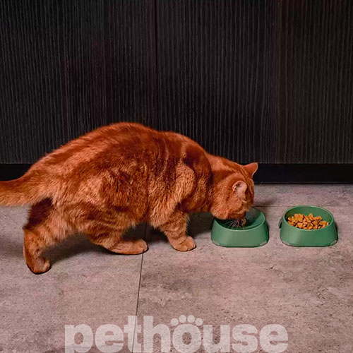 Fiboo Bowl S Миска з антиковзними накладками для котів і собак, 200 мл, фото 11