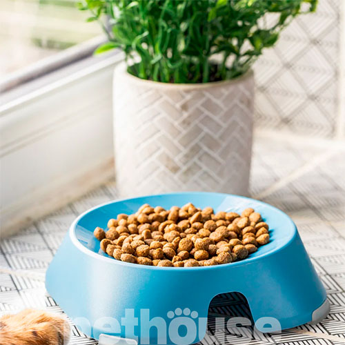 Fiboo Flat Bowl Миска пласка з антиковзними накладками для котів і собак, фото 11