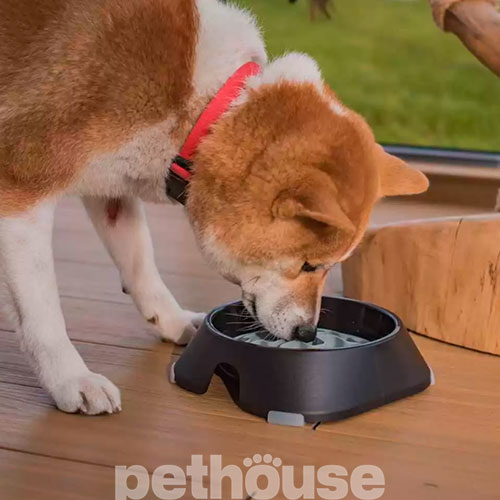 Fiboo Slow Feeder Bowl Вкладыш в миску для медленного кормления собак и кошек, фото 4