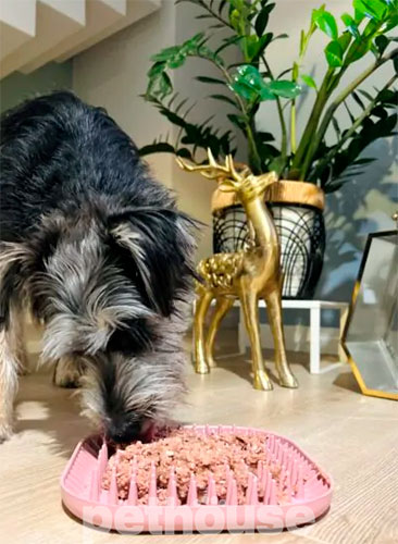 Fiboo Fiboowl Spiky Килимок для повільного годування собак і котів