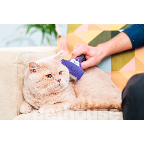 FURminator Short Hair Cat M/L - фурмінатор для короткошерстих котів великих порід, фото 5