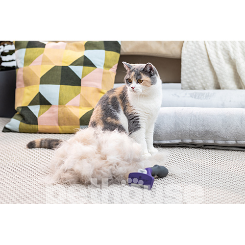 FURminator Short Hair Cat M/L - фурминатор для короткошерстных кошек крупных пород, фото 6