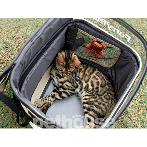 FurryTail Pet Backpack Рюкзак-переноска для кошек и собак весом до 8 кг, фото 6