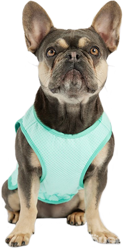 GF Pet Elasto-Fit Ice Vest Охлаждающий жилет для собак