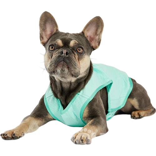 GF Pet Elasto-Fit Ice Vest Охлаждающий жилет для собак