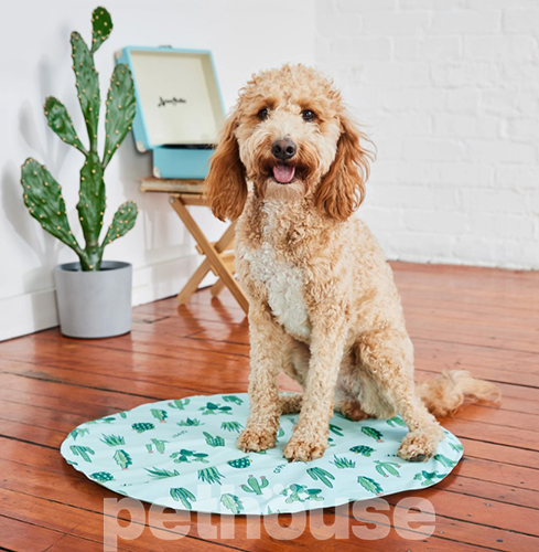 GF Pet Ice Mat Aqua Охолоджувальний килимок для собак і котів