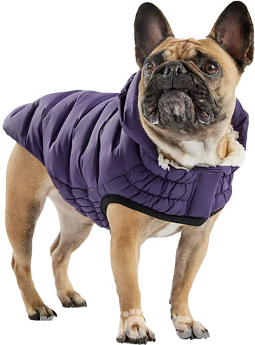 GF Pet Cloud Dog Parka Purple Парка для собак, фіолетова