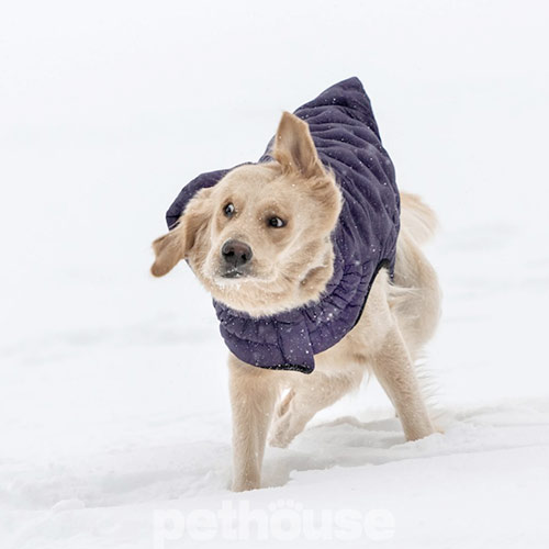 GF Pet Cloud Dog Parka Purple Парка для собак, фіолетова