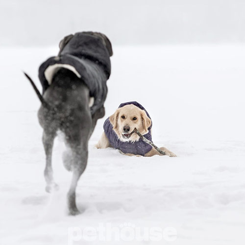 GF Pet Cloud Dog Parka Purple Парка для собак, фіолетова