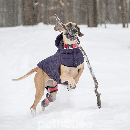 GF Pet Cloud Dog Parka Purple Парка для собак, фіолетова