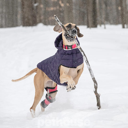 GF Pet Cloud Dog Parka Purple Парка для собак, фіолетова