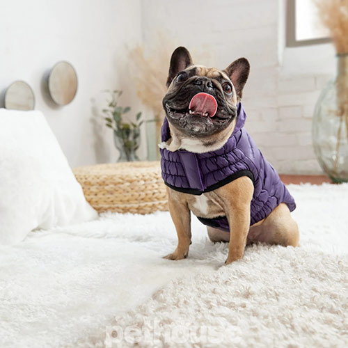GF Pet Cloud Dog Parka Purple Парка для собак, фіолетова