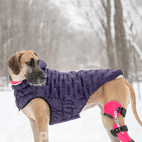 GF Pet Cloud Dog Parka Purple Парка для собак, фіолетова