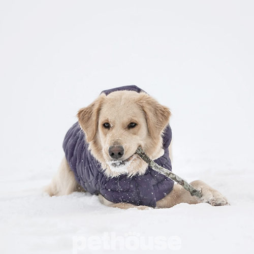 GF Pet Cloud Dog Parka Purple Парка для собак, фіолетова