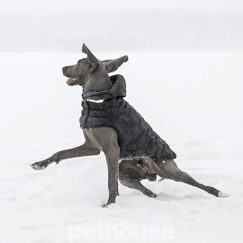 GF Pet Cloud Dog Parka Black Парка для собак, чорна