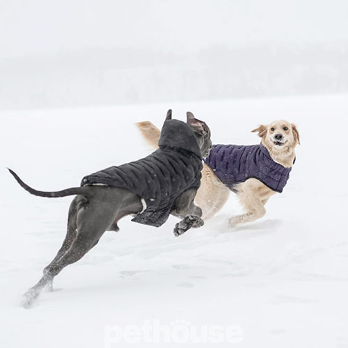 GF Pet Cloud Dog Parka Black Парка для собак, чорна