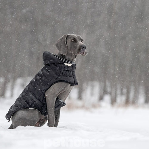 GF Pet Cloud Dog Parka Black Парка для собак, чорна