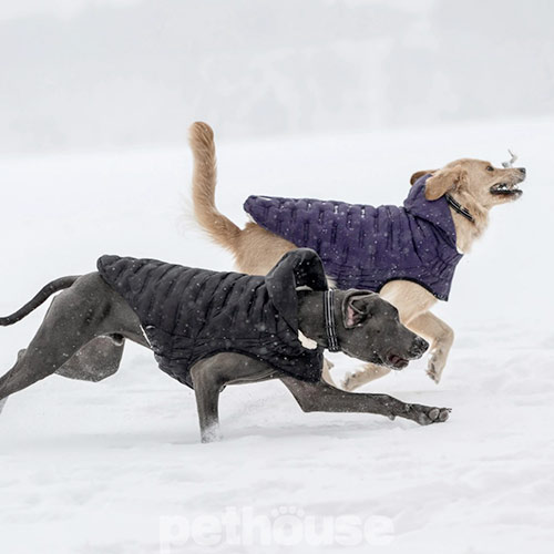 GF Pet Cloud Dog Parka Black Парка для собак, чорна