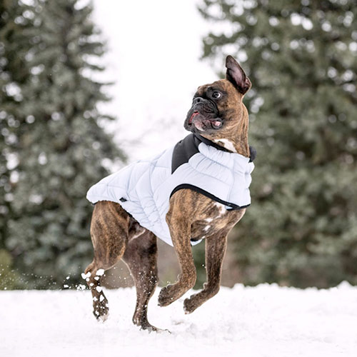 GF Pet Diamond Dog Puffer Blue Пуховик для собак, блакитний
