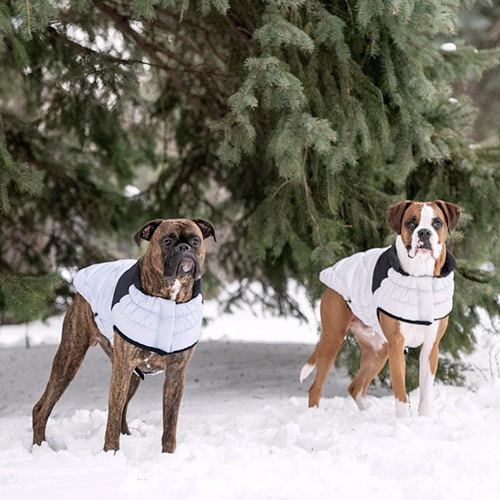 GF Pet Diamond Dog Puffer Blue Пуховик для собак, блакитний