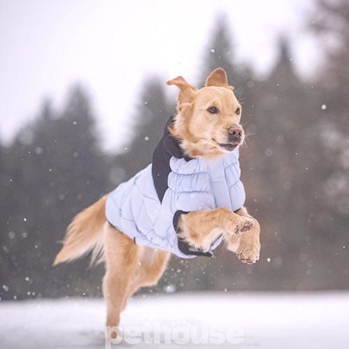 GF Pet Diamond Dog Puffer Blue Пуховик для собак, блакитний