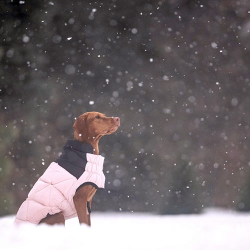 GF Pet Diamond Dog Puffer Pink Пуховик для собак, рожевий