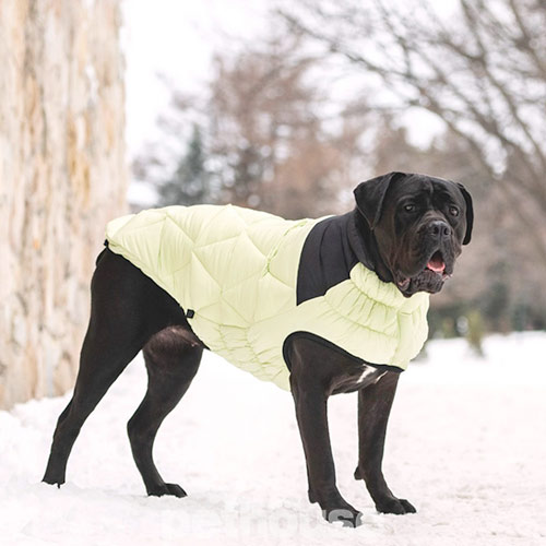 GF Pet Diamond Dog Puffer Green Пуховик для собак, зелений