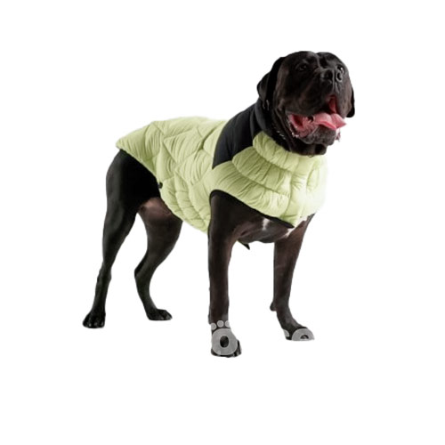 GF Pet Diamond Dog Puffer Green Пуховик для собак, зелений
