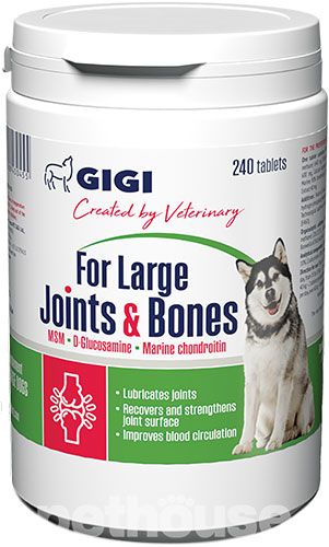 GiGi For Large Joints & Bones