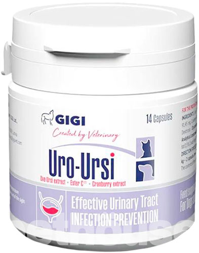GiGi Uro-Ursi