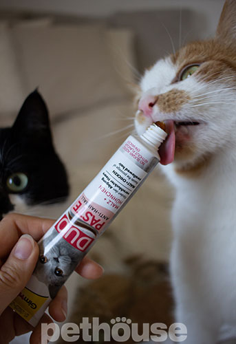 GimCat Duo-Paste Anti-Hairball - паста для выведения шерсти из желудка кошек, с курицей