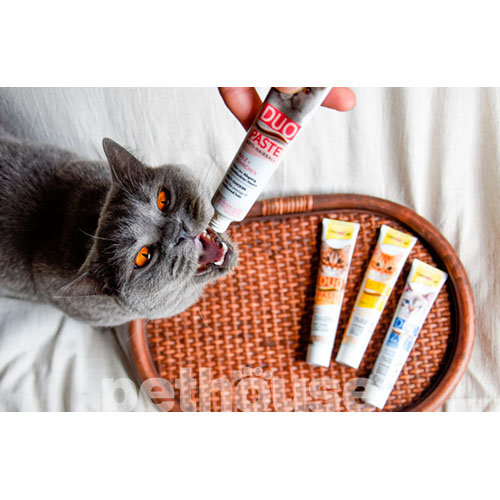 GimCat Duo-Paste Anti-Hairball - паста для выведения шерсти из желудка кошек, с сыром