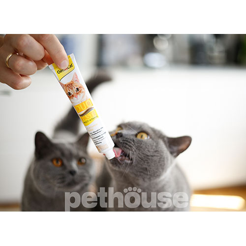 GimCat Duo-Paste Multi-Vitamin - мультивитаминная паста для кошек, с сыром
