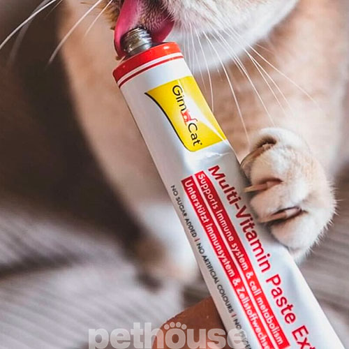 GimCat Multi-Vitamin Paste Extra - мультивітамінна паста для котів, фото 3