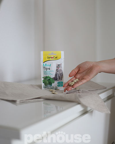 GimCat Mintips - вітамінізовані ласощі для котів, з котячою м'ятою