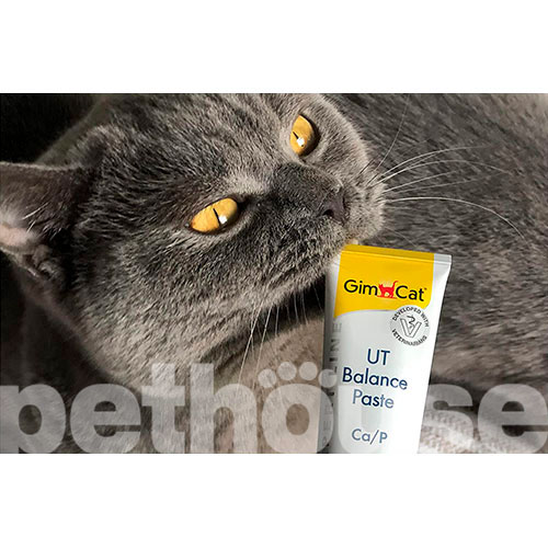 GimCat Expert Line UT Balance - паста для защиты мочевыводящих путей кошек, фото 3