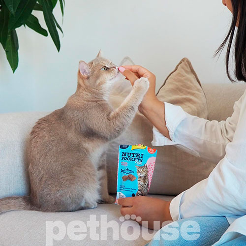 GimCat Nutri Pockets Fish Salmon - подушечки з лососем для котів