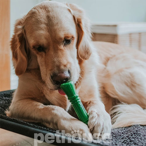 Green Sheep Natural Rubber Bone L Гумова кістка для собак, 17 см