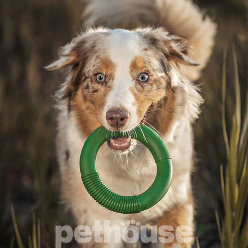 Green Sheep Natural Rubber Hoop M Гумове кільце для собак, 15,5 см