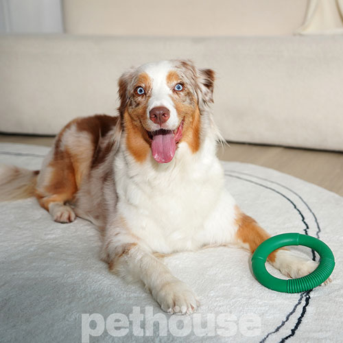 Green Sheep Natural Rubber Hoop M Гумове кільце для собак, 15,5 см