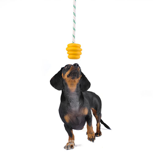 Green Sheep Natural Rubber Ball Rope S Резиновый мяч с веревкой для собак, 6 см