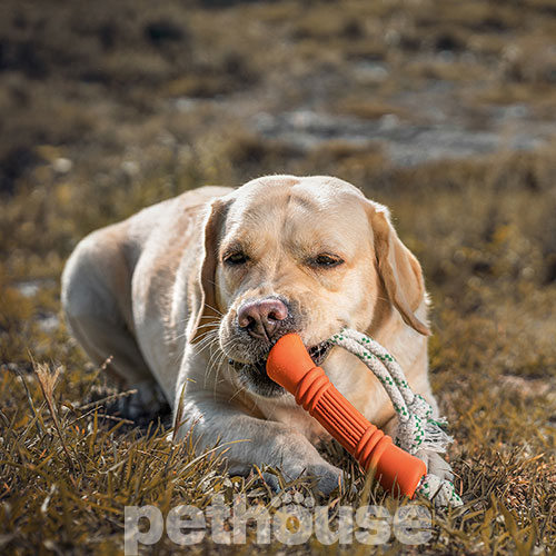 Green Sheep Natural Rubber Bone Rope L Резиновая кость с веревкой для собак, 17 см