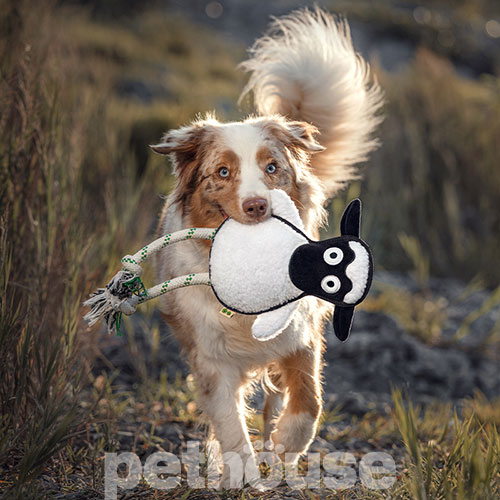 Green Sheep Rope Toy M Іграшка "Вівця" з мотузкою для собак
