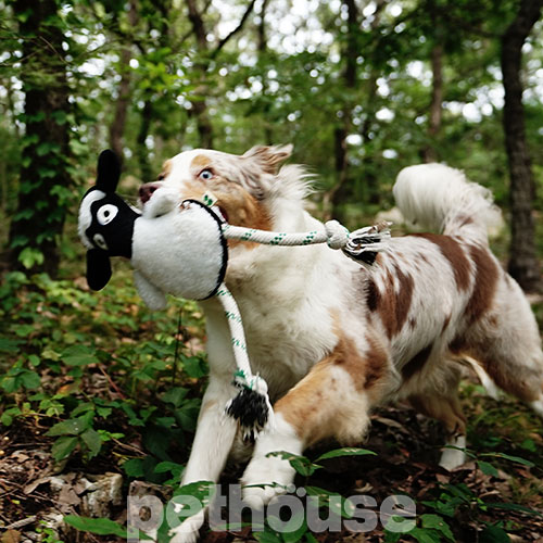 Green Sheep Rope Toy M Іграшка "Вівця" з мотузкою для собак
