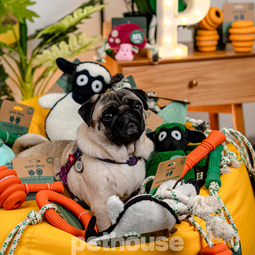 Green Sheep Rope Toy M Іграшка "Вівця" з мотузкою для собак